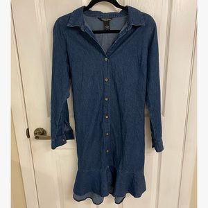 Millenium Denim Long Sleeve Dress with Ruffle Hem